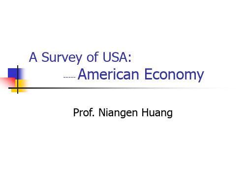 美国概况 英文版 第三章  美国经济