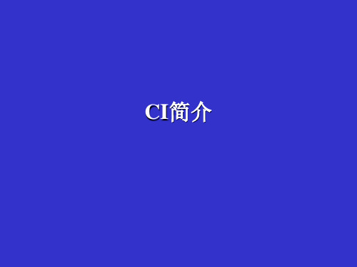 CI简介