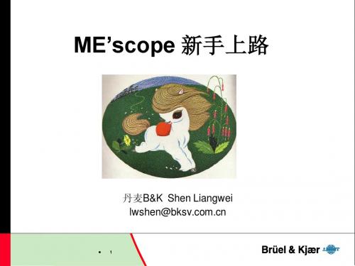 MEscope_新手上路