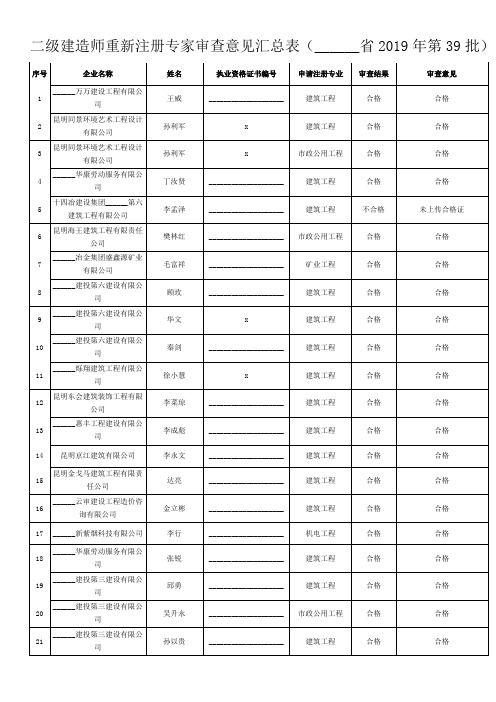 二级建造师重新注册专家审查意见汇总表【模板】