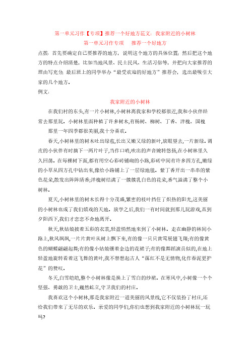 新教材部编版语文四年级上册第1单元习作：推荐一个好地方习作精品范文2