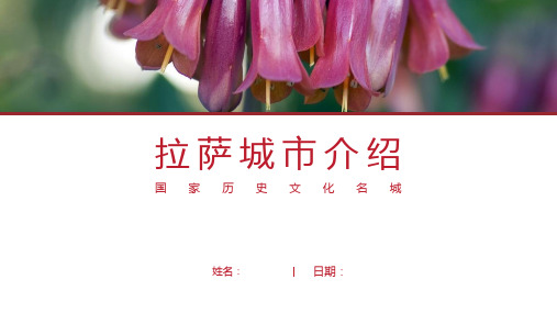 拉萨介绍-拉萨简介PPT(经典版)