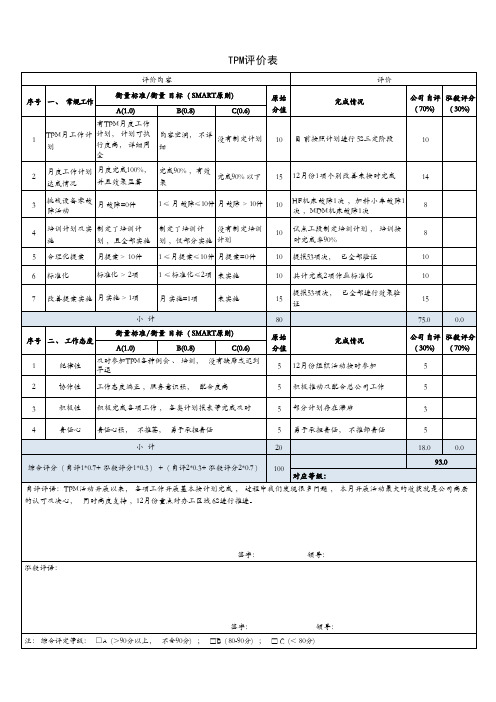 TPM月度年度评价表