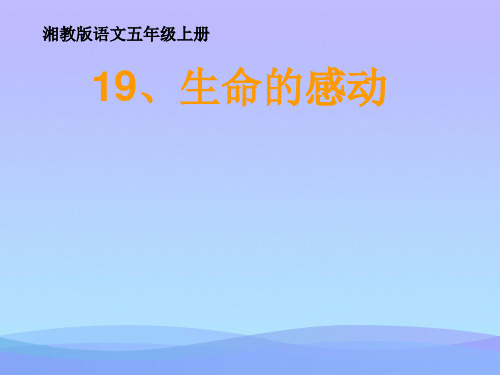 (优选)五年级语文上册第六单元生命的感动PPT课件3湘教版