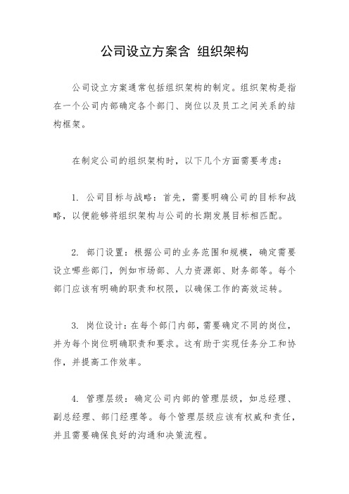 公司设立方案含 组织架构