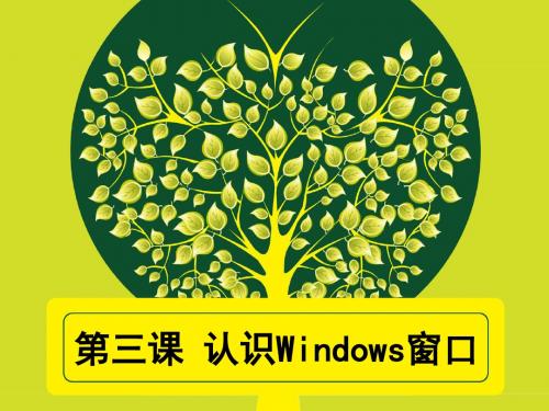 认识WINDOWS窗口