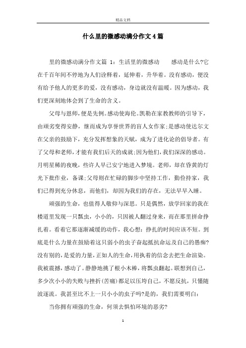 什么里的微感动满分作文4篇