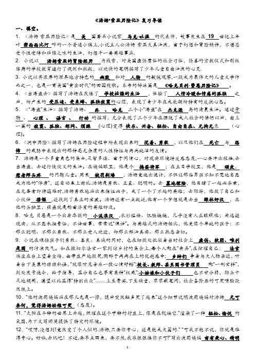 汤姆索亚历险记中考复习专题课件