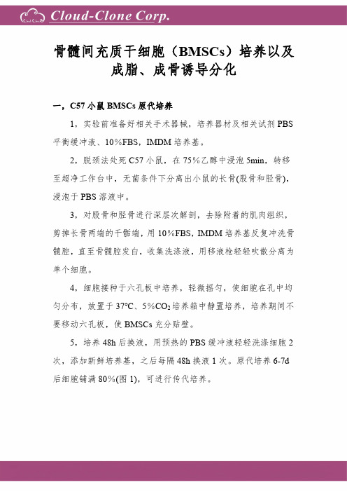 BMSCs成脂成骨分化实验总结