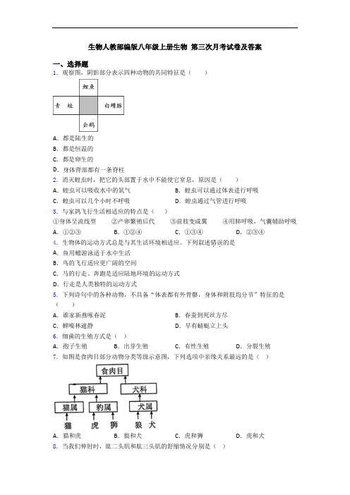 生物人教部编版八年级上册生物 第三次月考试卷及答案