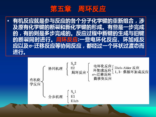 高等有机化学 周环反应