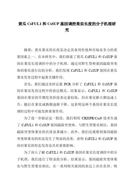 黄瓜CsFUL1和CsSUP基因调控果实长度的分子机理研究