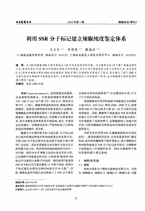 利用SSR分子标记建立辣椒纯度鉴定体系