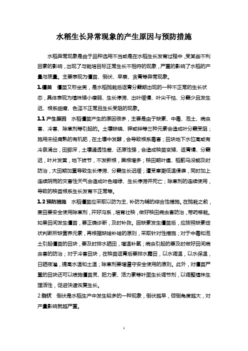 水稻生长异常现象的产生原因与预防措施