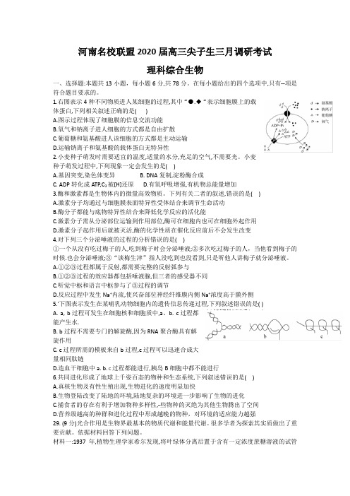 河南省名校联盟2020届高三尖子生3月调研考试——理科综合 生物(Word版)含解析