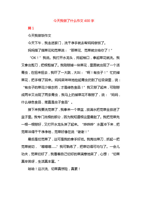 今天我做了什么作文400字