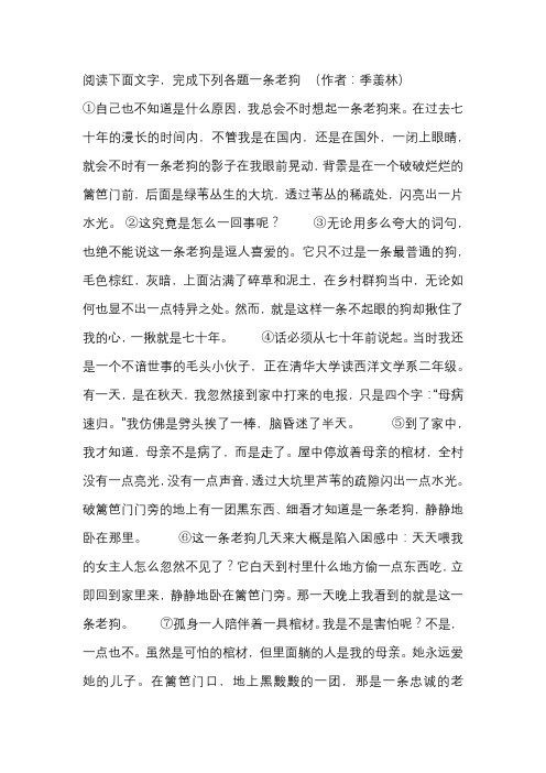 一条老狗阅读答案