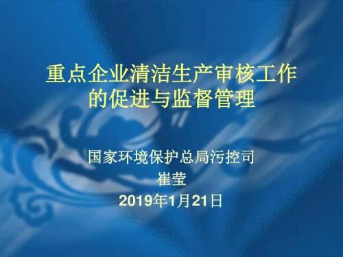 重点企业清洁生产审核工作的促进和监督管理 - 重点企业清洁生产审核-PPT课件