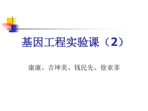 基因工程实验课(2) 生化实验PPT技术文档