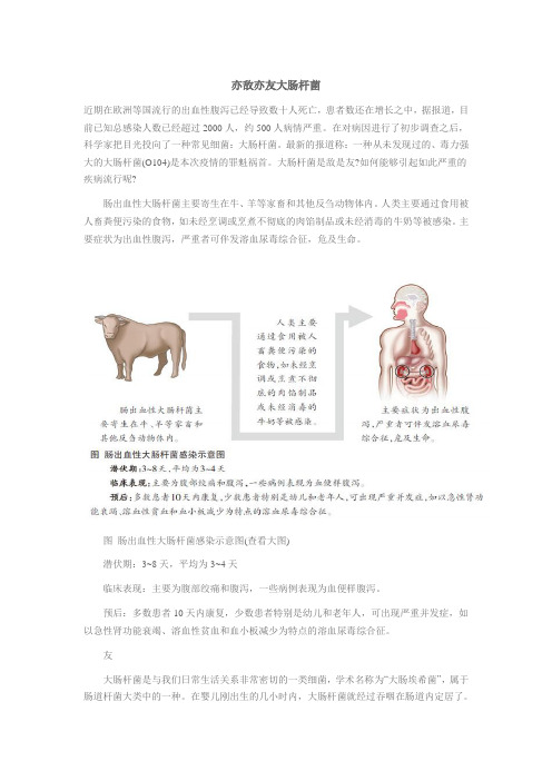 亦敌亦友大肠杆菌