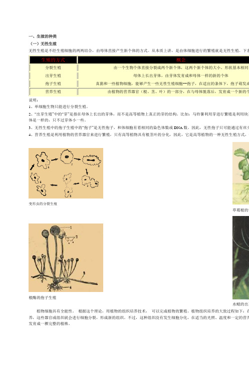 一生殖的种类