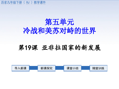 【历史课件】2019年部编版九年级历史下册第19课亚非拉国家的新发展导学案课件