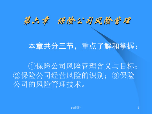 保险公司风险管理  ppt课件