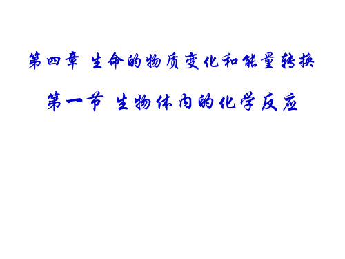 高一生物生物体内的化学反应(教学课件201909)