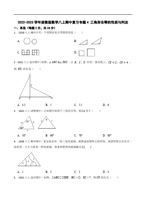 2022-2023学年浙教版数学八上期中复习专题4 三角形全等的性质与判定(学生版)