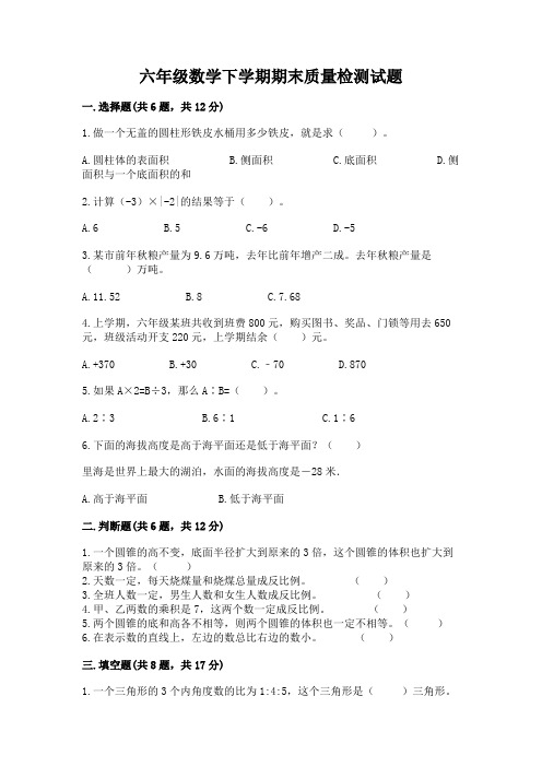 六年级数学下学期期末质量检测试题及完整答案(精选题)