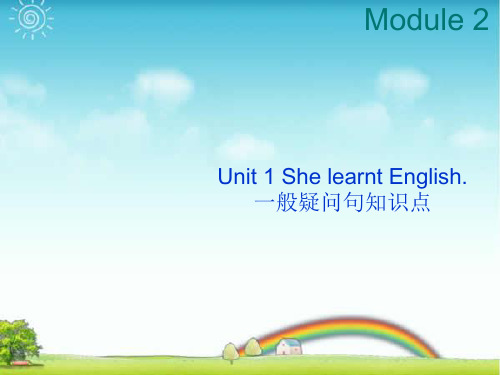 新外研版五年级英语下册Module 2 Unit 1 She learnt English--一般疑问句知识点.ppt