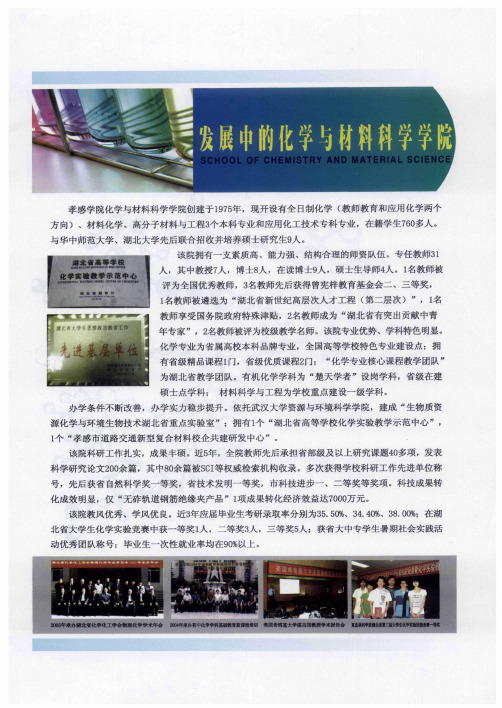 发展中的化学与材料科学学院