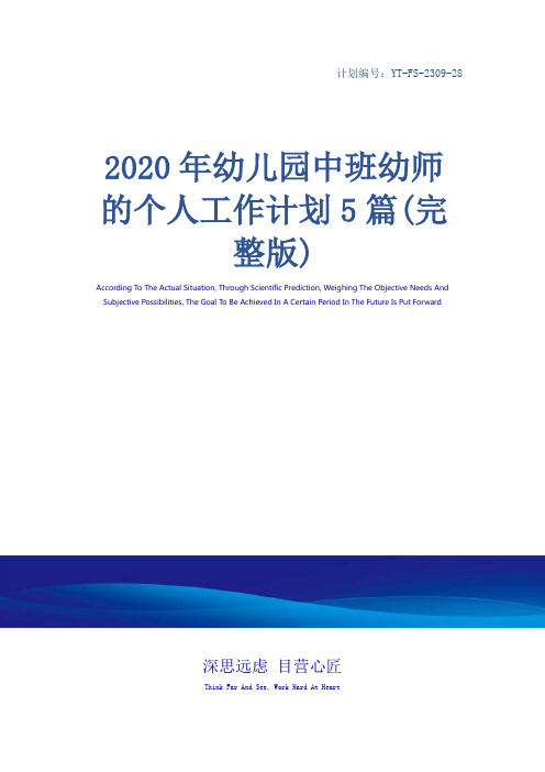 2020年幼儿园中班幼师的个人工作计划5篇(完整版)