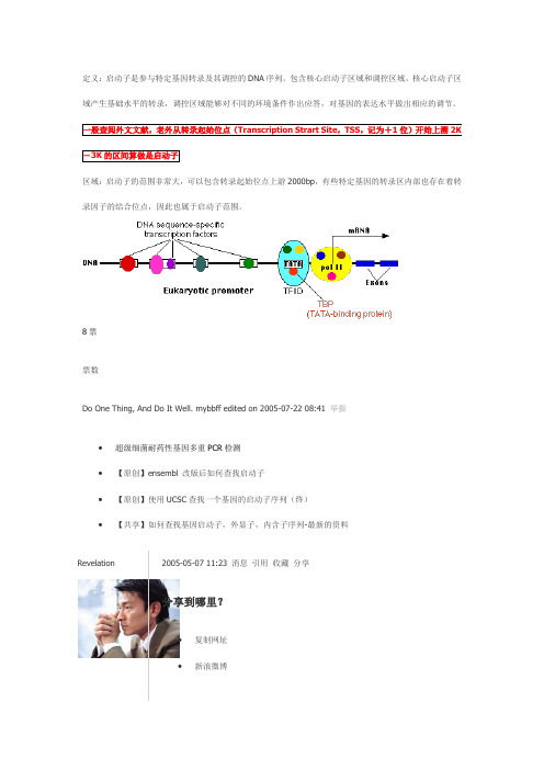 如何查找一个基因的启动子序列