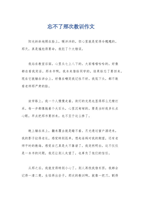 忘不了那次教训作文