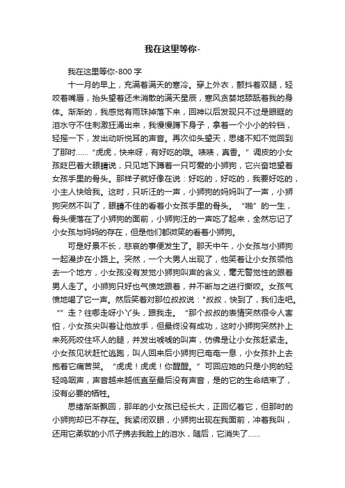 我在这里等你-800字