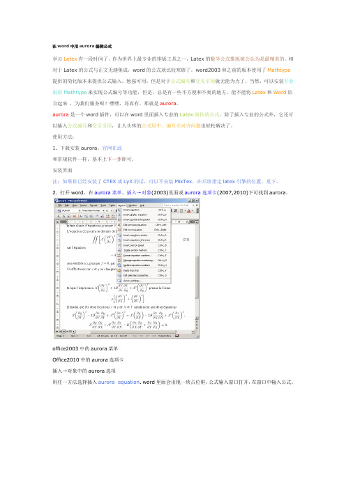 Aurora-word文档中使用latex公式