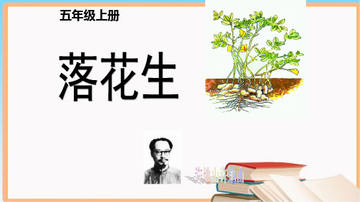 统编版五年级语文上册2《落花生》课件(共24张PPT)