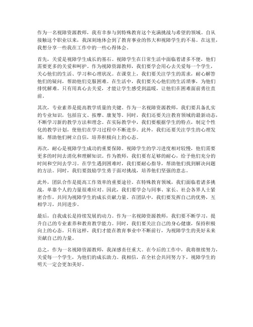 视障资源教师心得体会