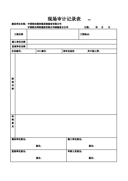 现场审计记录表(范本)