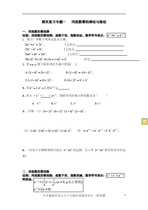 北师大版七年级数学下册期末专题复习