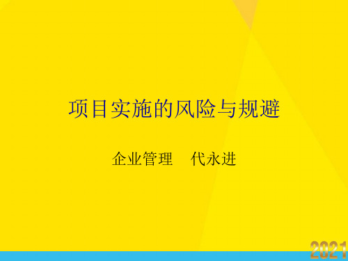 项目实施的风险与规避优秀文档