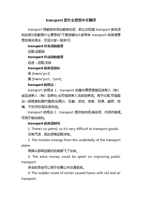 transport是什么意思中文翻译