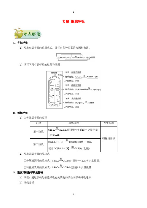 2019年高考生物训练专题：细胞呼吸(含答案和解析)