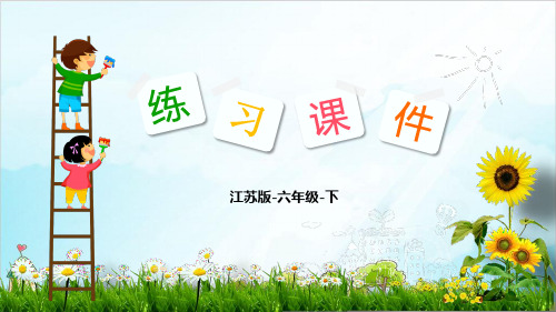 六年级数学下册习题课件总复习:数与代数苏教版2