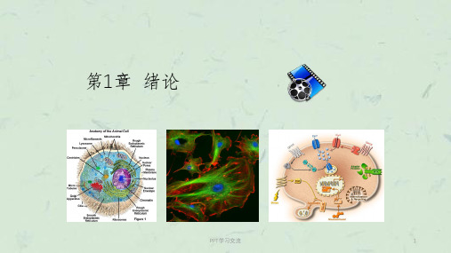 细胞生物学(翟中和第四版)第1章 绪论课件