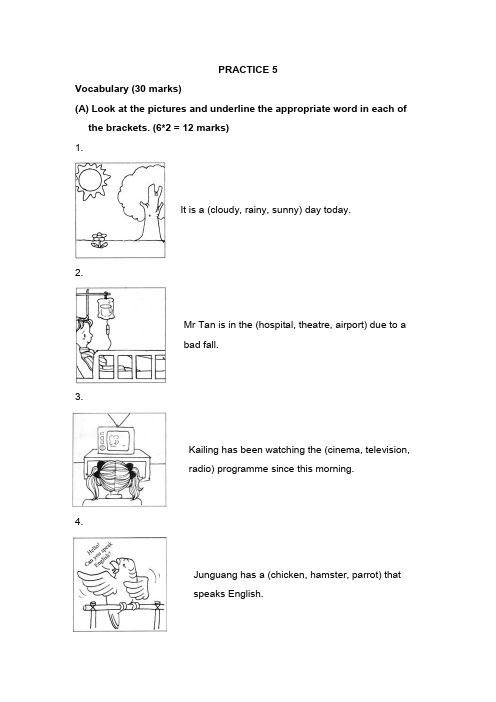 新加坡小学一年级英语试卷及答案PRACTICE 5