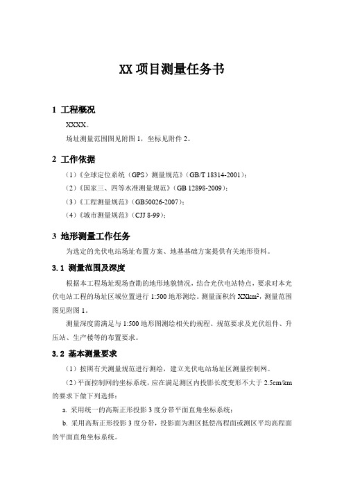 项目测量任务书