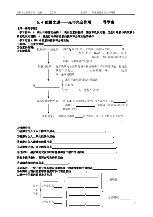 5.4光合作用学案