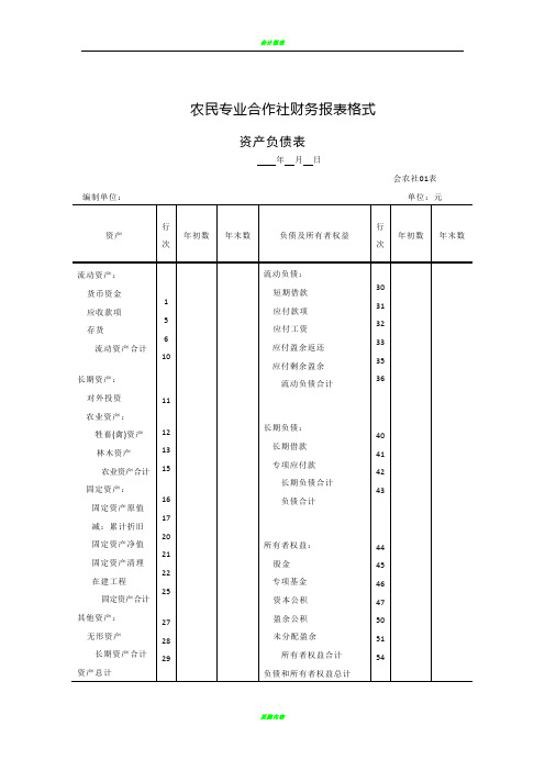 农民专业合作社资产负债表格式